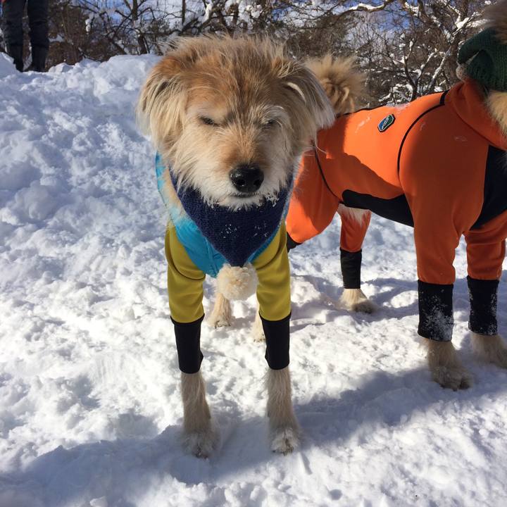 41009f29 2fbd 4367 b7fa 505be61ee286