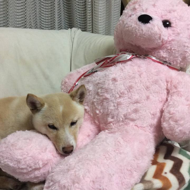 41018d52 9fa5 4021 b7ec d111e28ea8fd