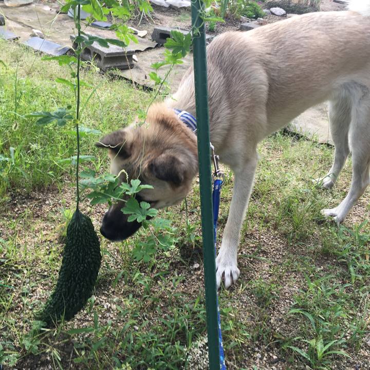 4101928b fe6c 4ae7 beb0 ede59b668deb