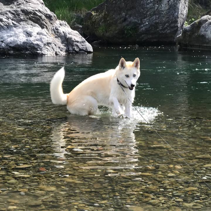 4101eca4 f2ed 45b0 ba00 b6b3c430bf76