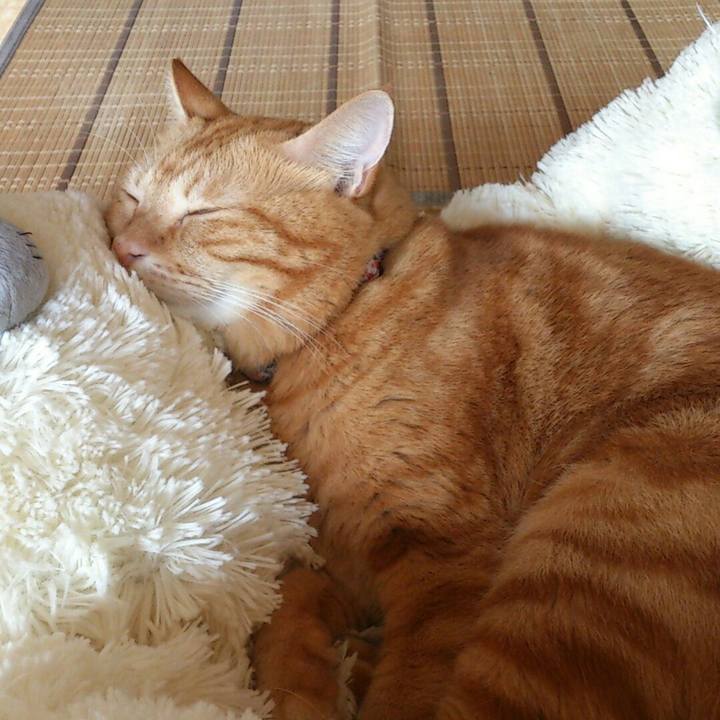 4102485e 4c81 452f 8dca 2ae77589db0f