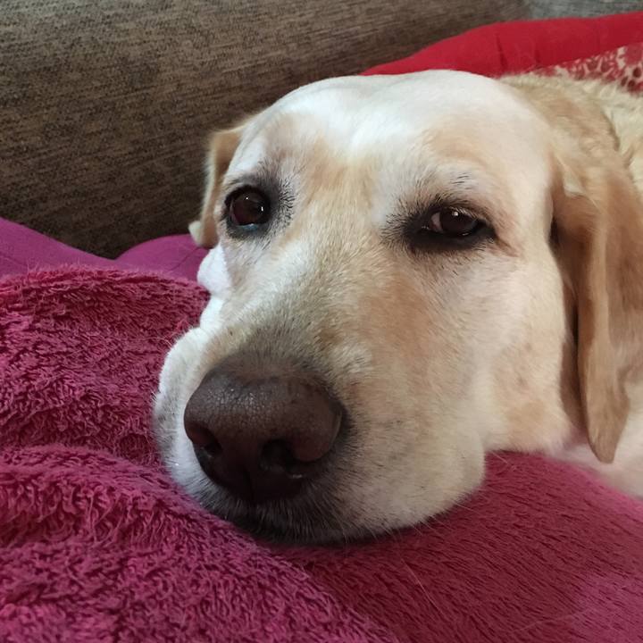 41025762 5e3e 463c a339 ceb70e34d302