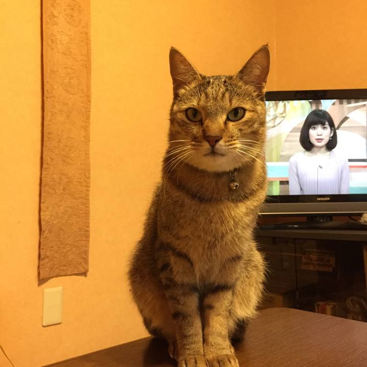 4102940c e5d2 41a6 b039 2733abf57adc