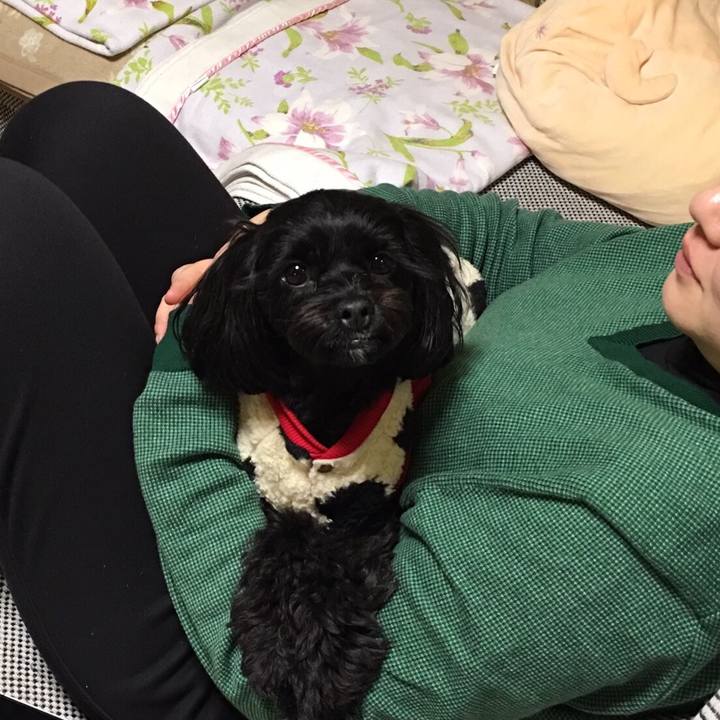 41030079 9fdd 40d8 beb0 945aa7a78137