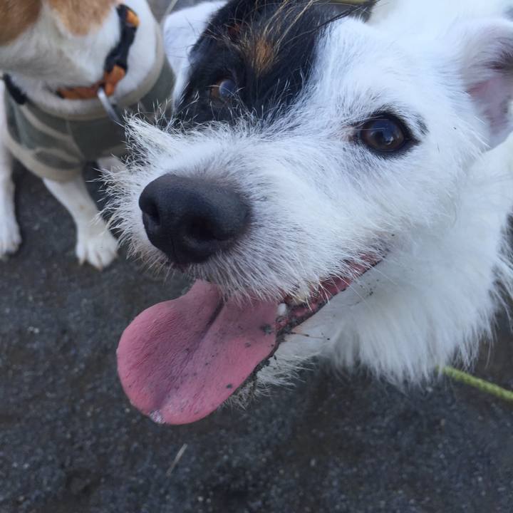 41040fd2 2dd9 4539 8c2a ba7da980b98e