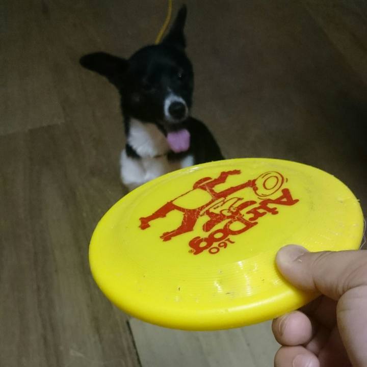 4105246b 54a4 4abd a16e d3cbb8a5612b