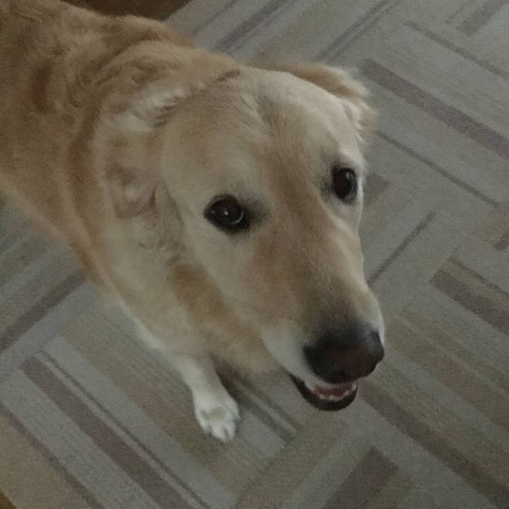 410612ef 07d5 4ec7 8ace cac49b777de5