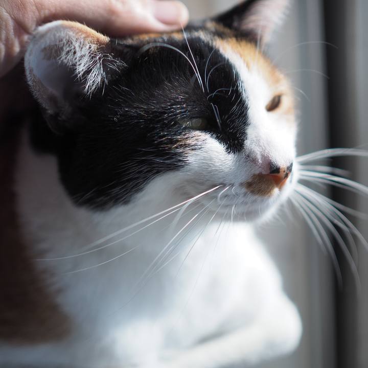 4106414f 9aae 4639 bcc1 9a3b1a98d6a0