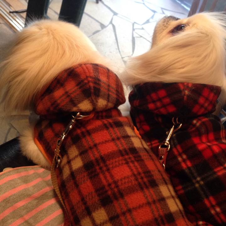 41069220 0fed 468f 8150 61fb98fe6dac