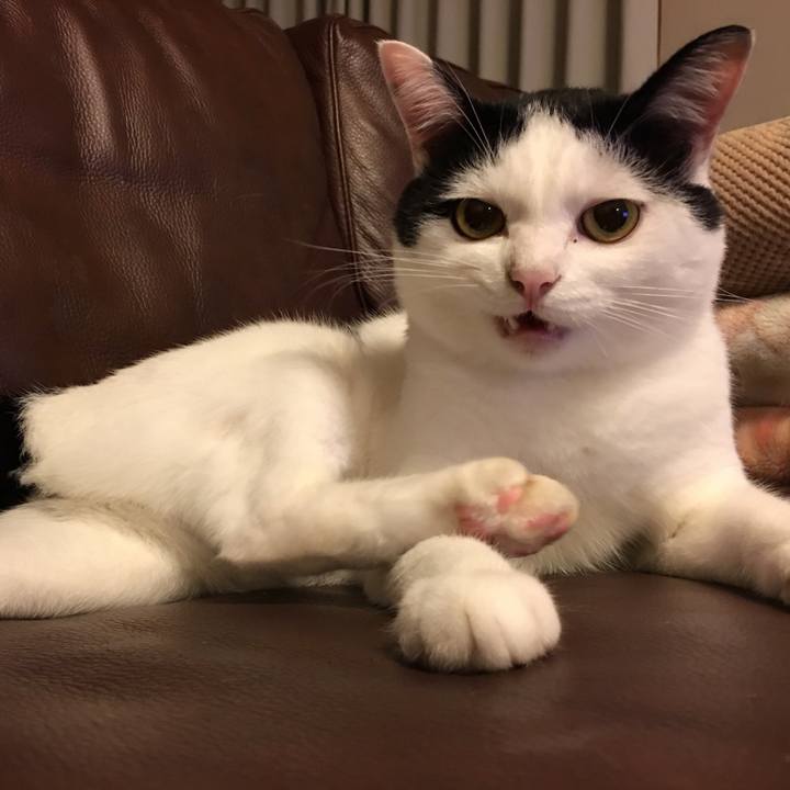 41070913 5b8c 4c7a 8f5d 4aad0475d939