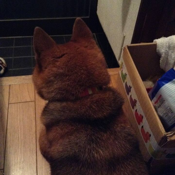 41071910 9108 45c8 a25d 5997fc6764aa