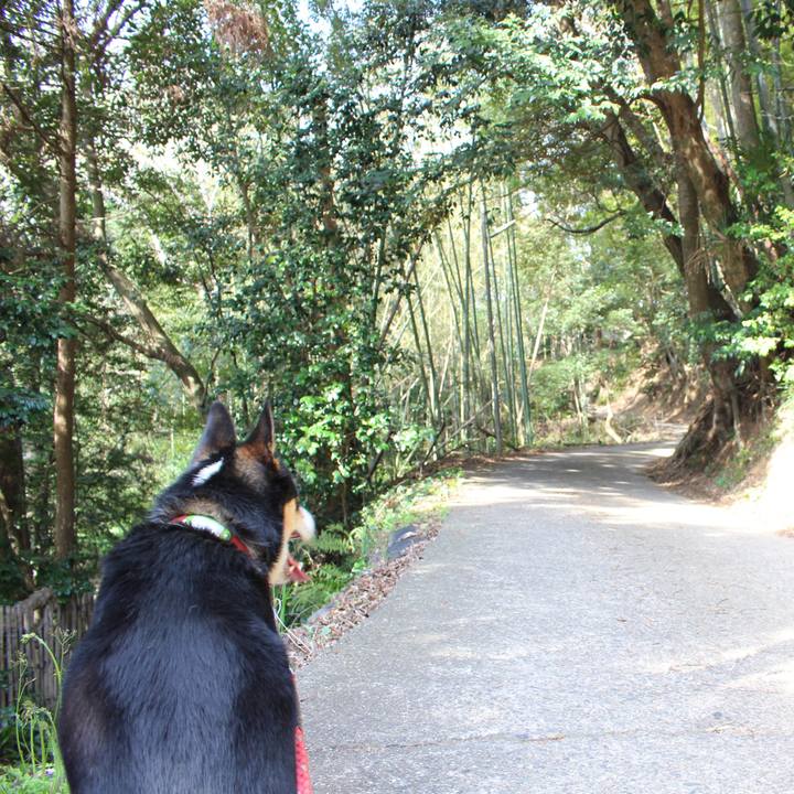 41071cf4 0c34 4d5e 943f 6ec1892785f2