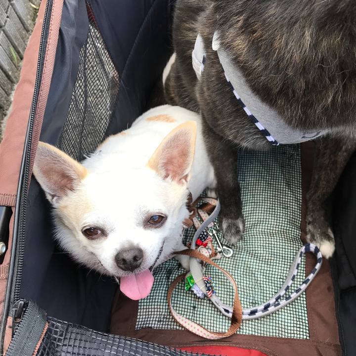 41082134 d6b6 4844 8e5f 88acfd51a73c