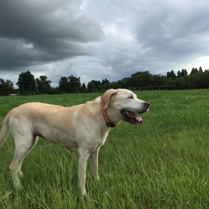 41082ae8 3fe4 4235 a021 50f85bfebe3a