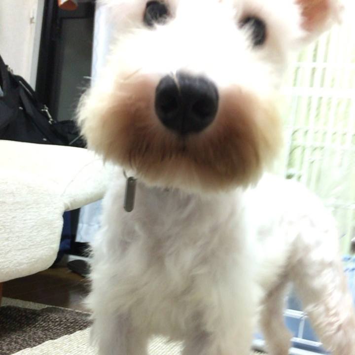 41083c02 1916 443e ad22 ab6360d5aceb