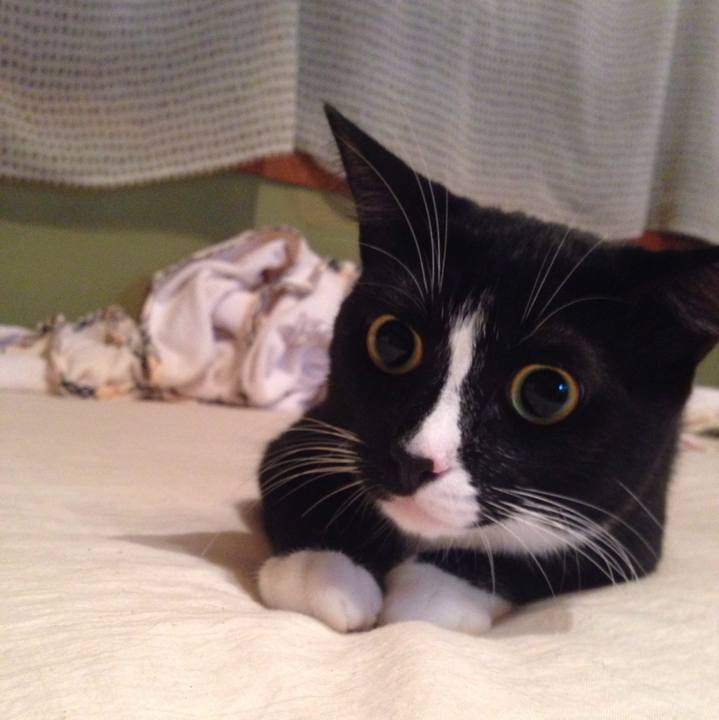 4108e9b7 4945 4b36 bca9 a9afea838bc5