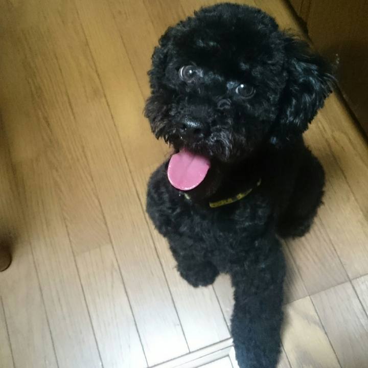 41093971 9c8e 414c b347 d903aabffe93