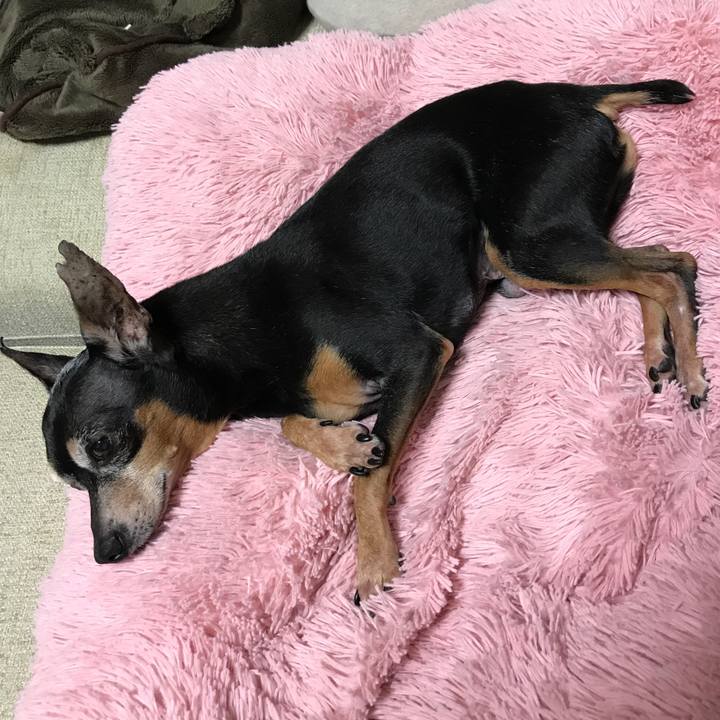 410a4a83 9ee6 42c7 a4a3 e8c0f85e1c99