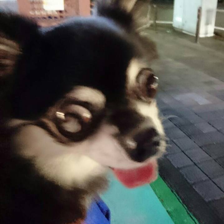 410a8d3c 6550 47a8 9dac 7b3442d2632a