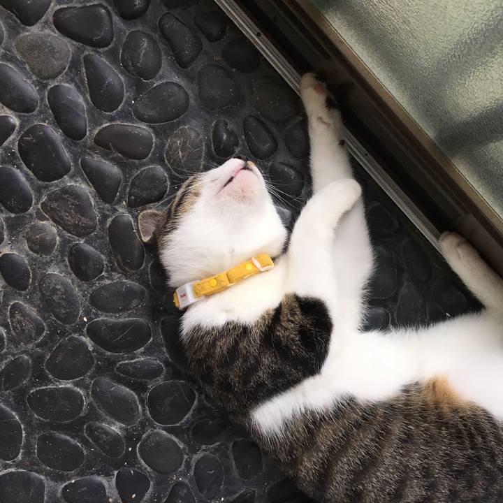 410aabbf 966f 4b92 a762 b433cfb20185