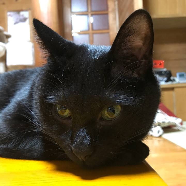 410b34ea 2579 48cd 9e75 6a963cdb8f38