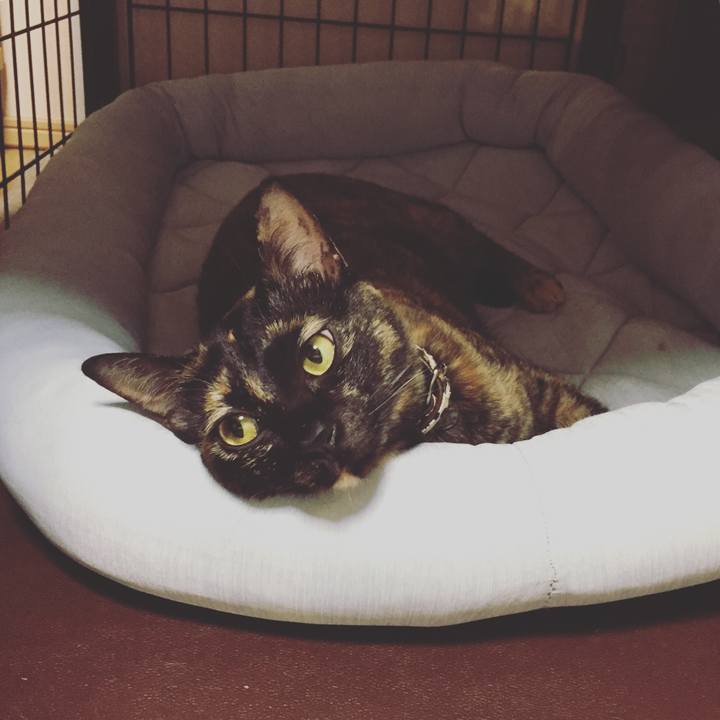 410b47e0 2791 4da4 b7c2 d07f8eaa4429