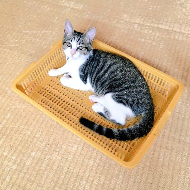 410b62d8 a42e 4b83 9437 e7e3dd1619f1