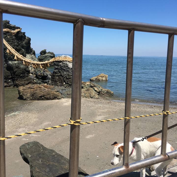 410b6555 f800 4802 b04f 419cfe941113