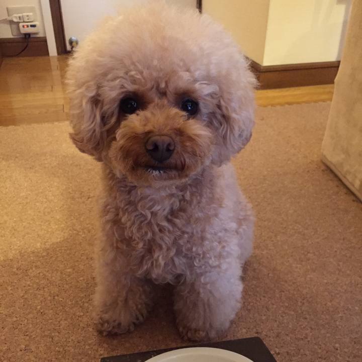 410b727e c9e9 4064 bc75 8681a510b22c