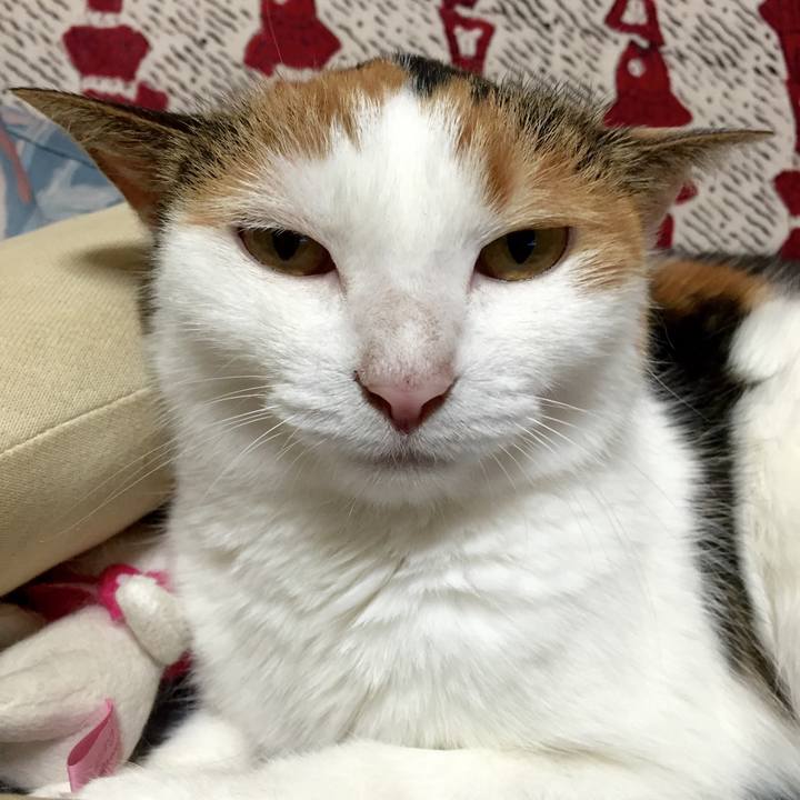 410caec1 5e27 4a59 ad04 fd047cc1ba9e