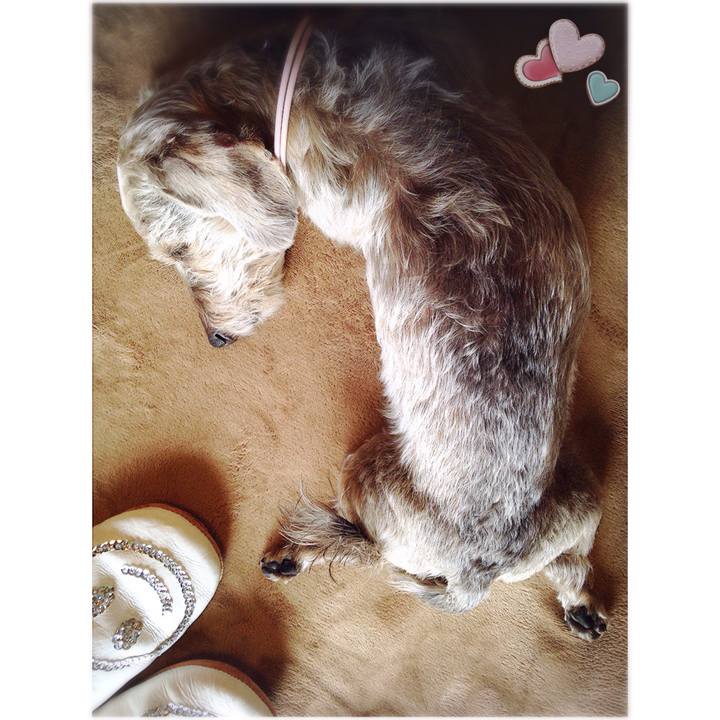 410cb594 1502 4dc8 9be5 e4eff15d63ae