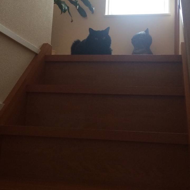 410d4813 d505 4515 87c7 7aafbc1d566e