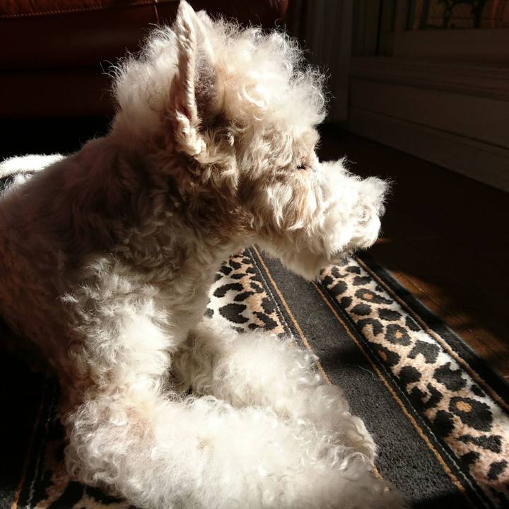 410dac8b bc43 4318 ab3e 18443bcc4566