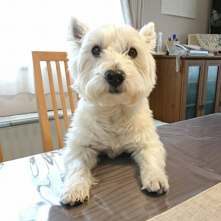 410dd134 1239 48d9 8383 dc478b28063b