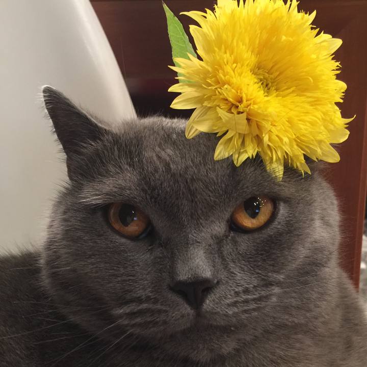 410e6c2d 8674 4e54 b287 5f56a168ee6d