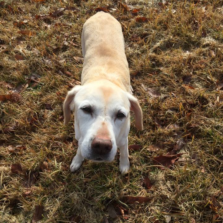 410e79d1 be1e 48a5 91ca aa1c6fb1a78b