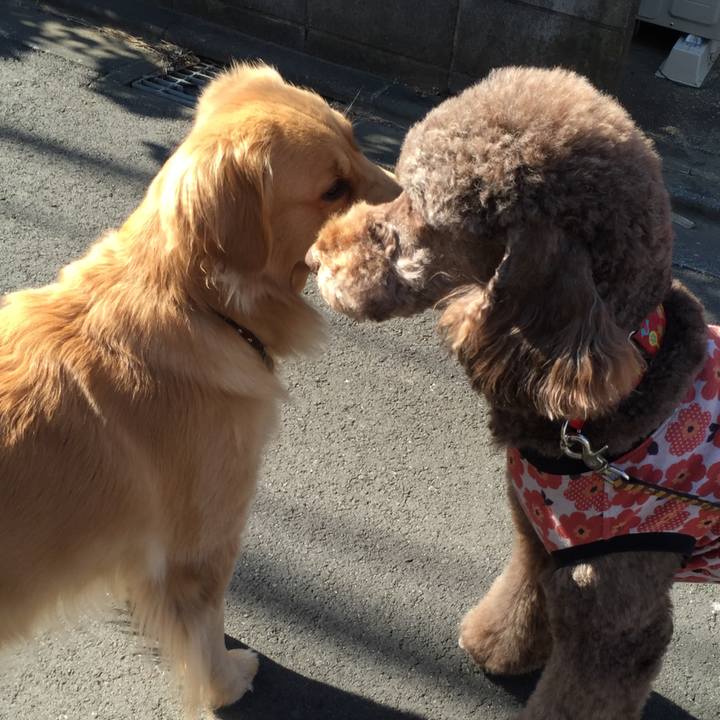 410e95bd b9b7 4ae2 9e74 2dd137ebdf2a