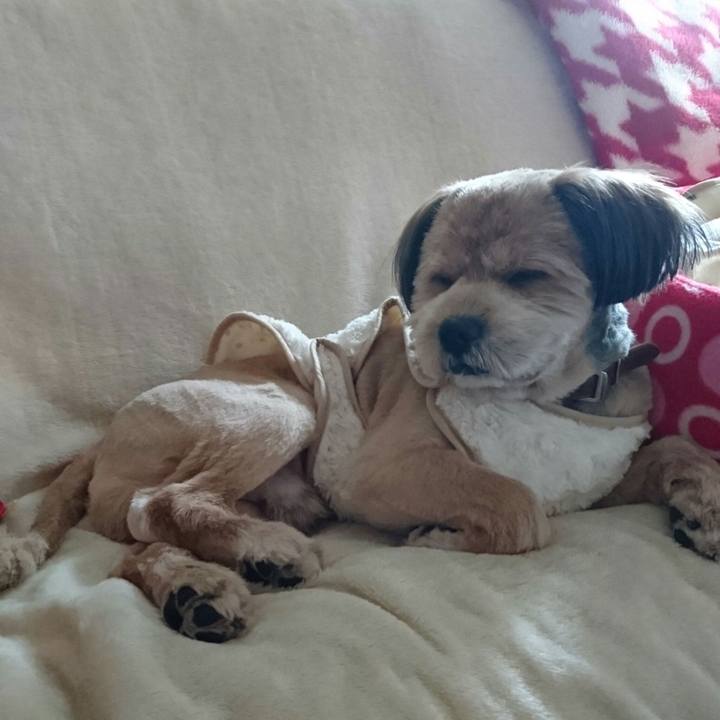 410f25d7 3bb8 43ac bbca e77ab26e0121