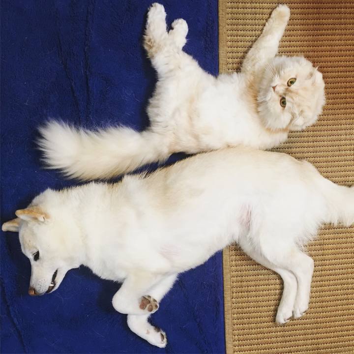 410fa0bc ae86 479f a2d6 965beb0e9f0a