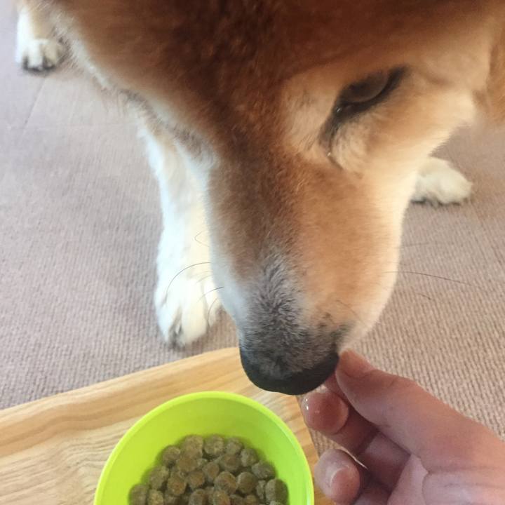 41102701 4c9b 4924 80b3 d83c43934910