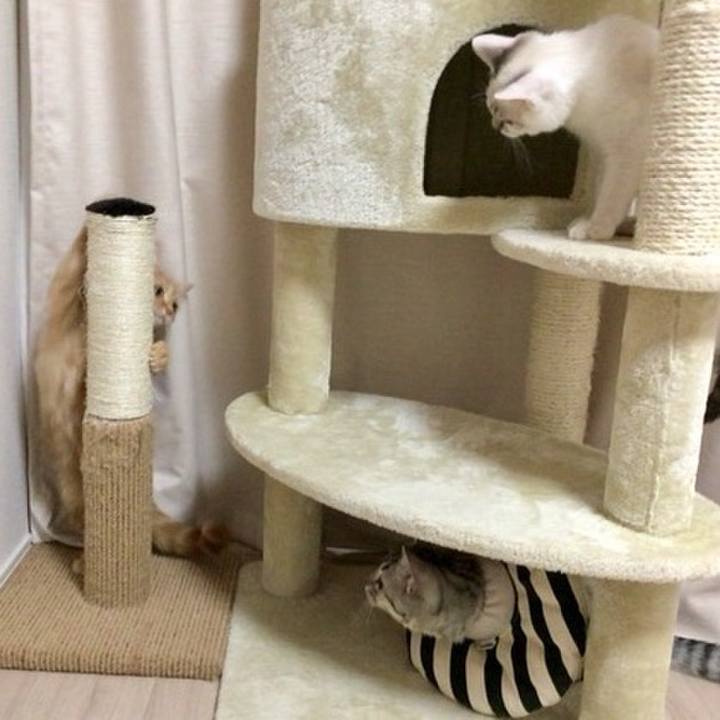 4110397c ab60 469b 87a9 db5a87eed0b8