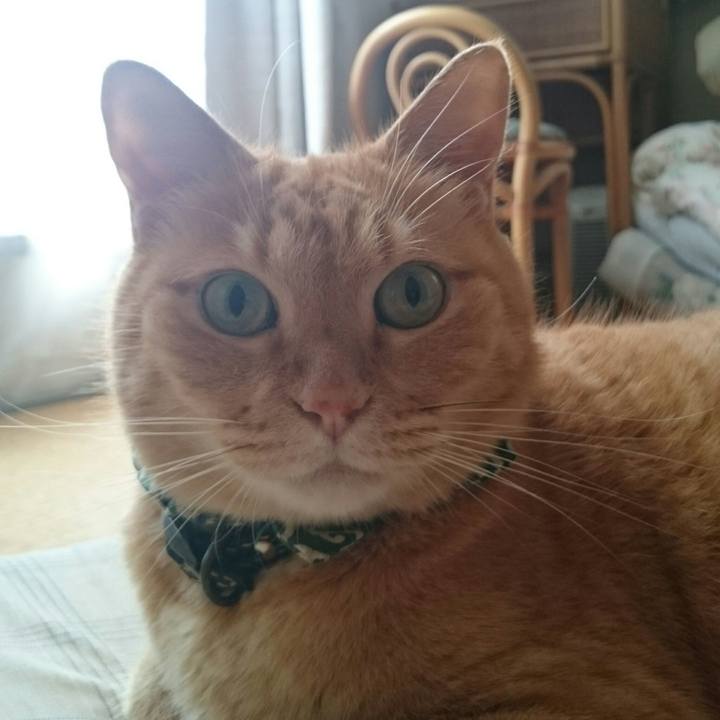 4110abea d0a4 443e b832 83bda4f0b5a8