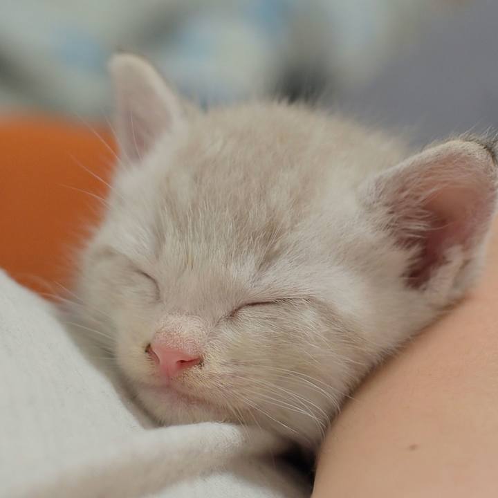 4110c36b 5945 41f9 a0c6 bca3558f23df