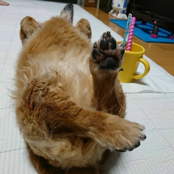 4110f003 027f 4c52 8f04 19842caa0748