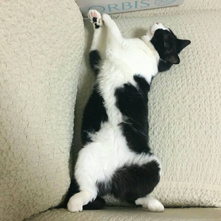 411147c1 e704 4027 a996 3fcced1e4a06