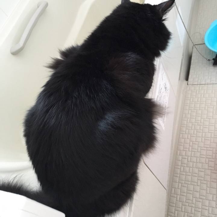 4111d766 fbbb 47a5 ae04 e28807ac1a92