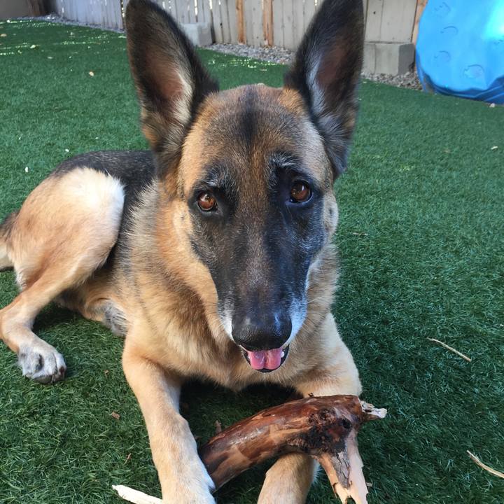 41122e7d 00fd 433f a689 9d846c92cb53