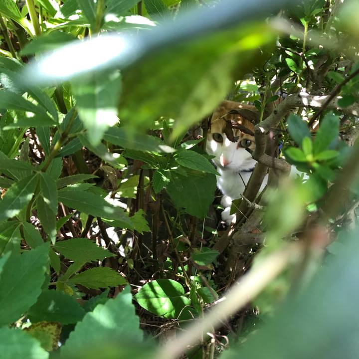 4112806e cd86 445c a2dd 9a8b52bb80bf