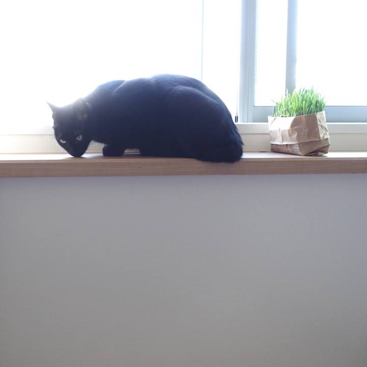 4112c453 c41b 4d4d 8e24 5b17b12f1a2c