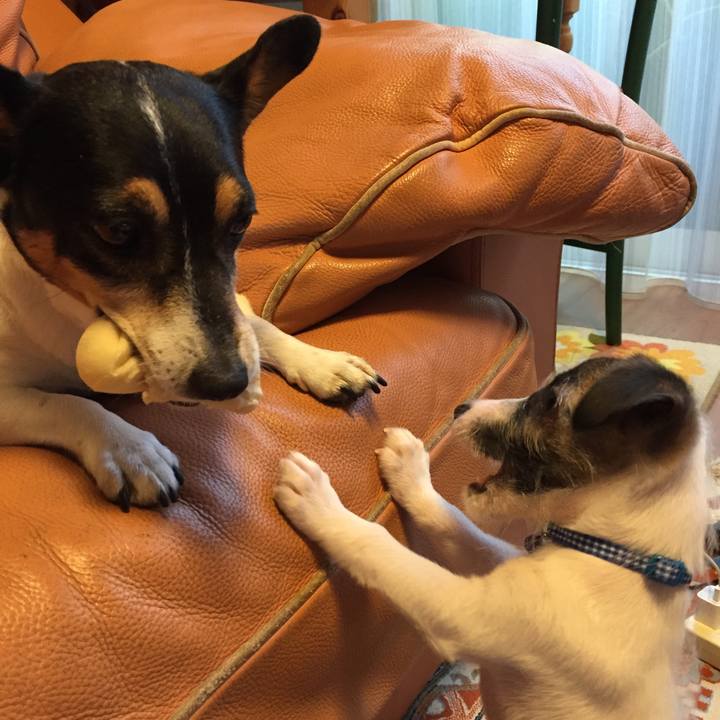 4112f822 4f19 4988 bd25 3981c29739fe